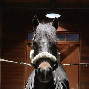 Meet your Posher, Lucia